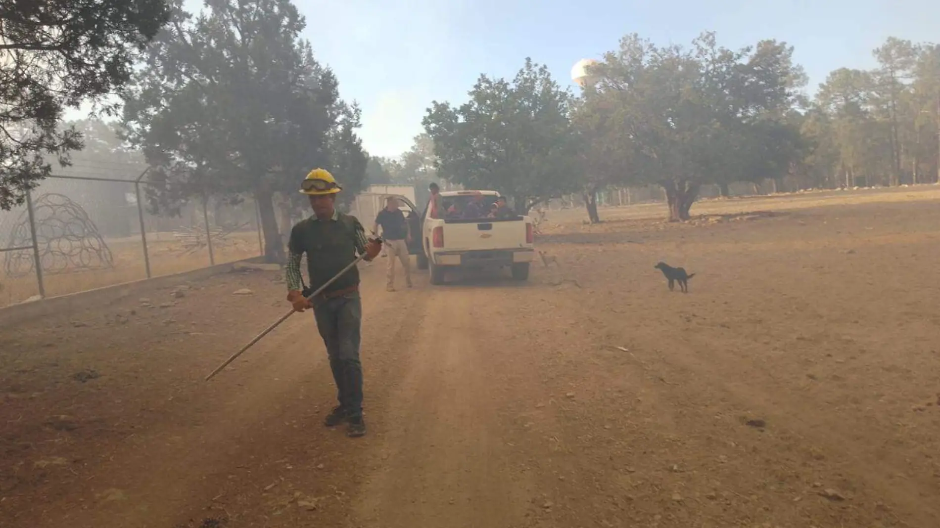 incendio forestal en Bocoyna